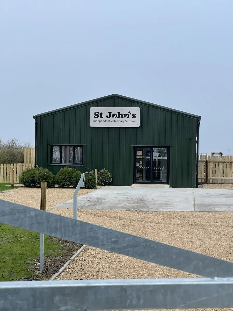 St John's Independent Veterinary Surgery, exterior by day