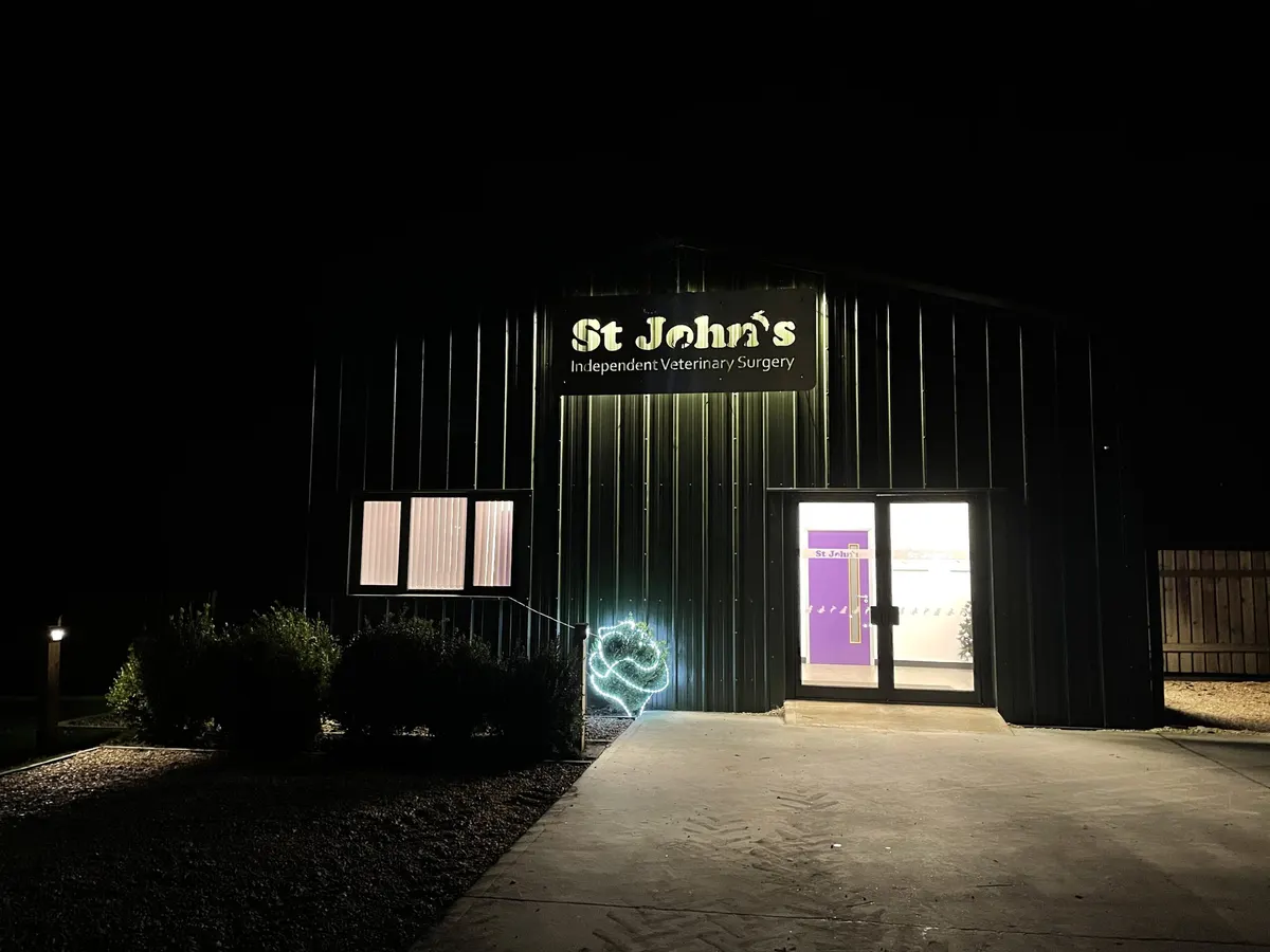 St John's vet surgery at night, sign and entrance lit