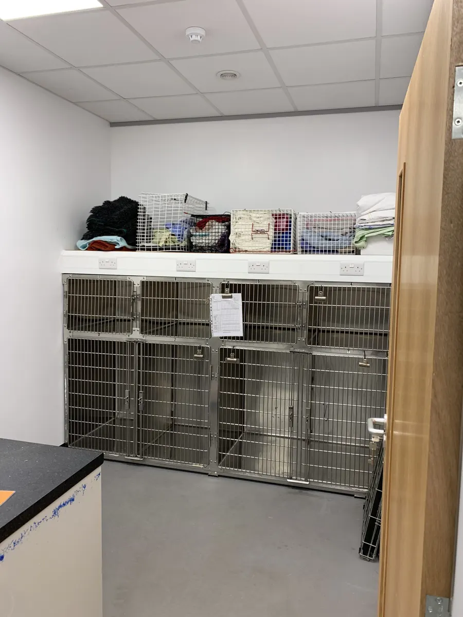 Vet kennel room with sockets above the kennels